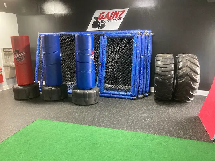 Gainz Fit Club Picture 4