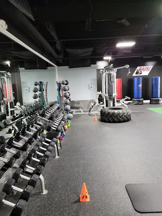 Gainz Fit Club Picture 2