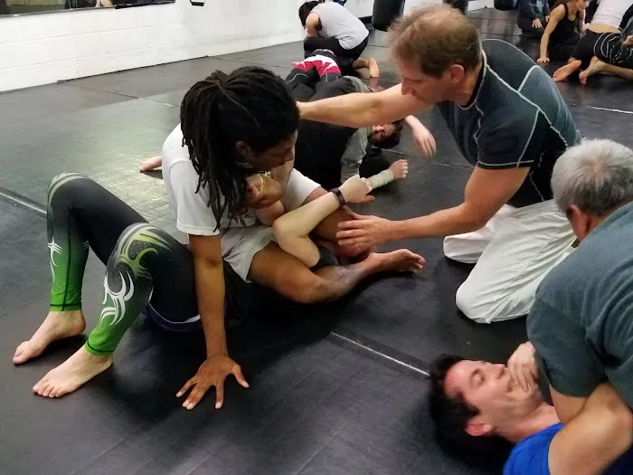 Downers Grove Boxing & Martial Arts, LLC. Picture 2