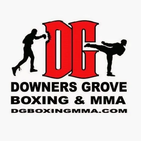 Downers Grove Boxing & Martial Arts, LLC. Picture 4