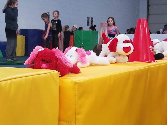 ALL AROUND GYMNASTICS Picture 9