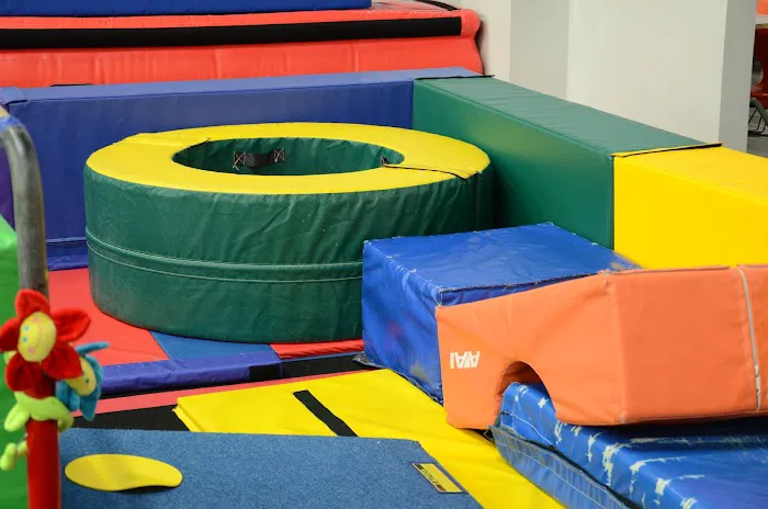 ALL AROUND GYMNASTICS Picture 2