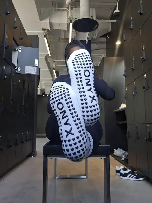 ONYX RIVER NORTH Picture 6