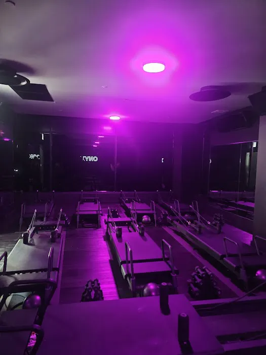 ONYX RIVER NORTH Picture 7