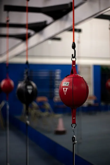 Rock Steady Boxing Picture 5