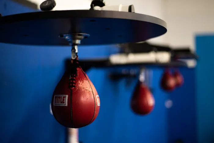 Rock Steady Boxing Picture 6