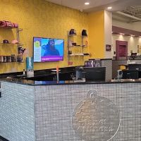 Planet Fitness ico