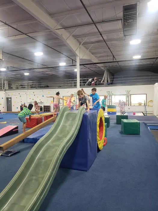 Phenom Gymnastics Picture 6