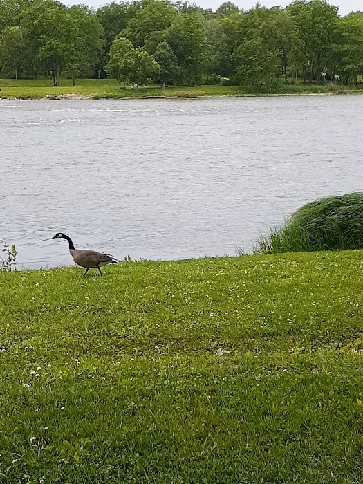 Wilmington Island Park District Picture 7