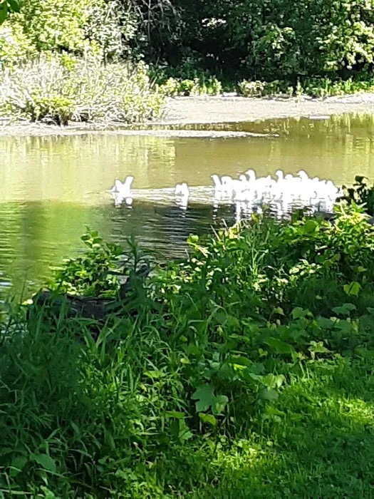 Wilmington Island Park District Picture 8