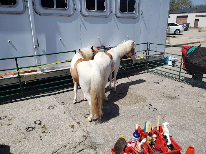 Wilmington Island Park District Picture 10