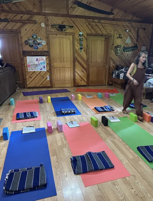 Shine Yoga + Wellness Picture 2