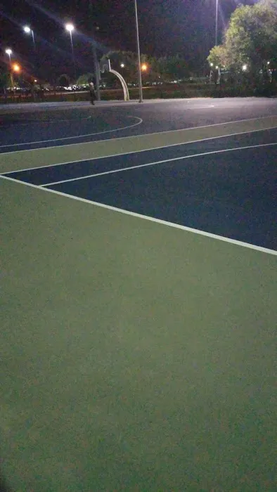 Blue Courts Picture 1