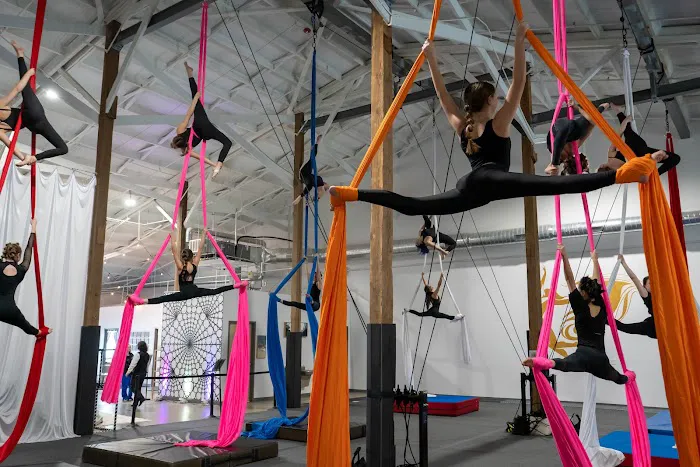 Sora Aerial Arts Picture 9