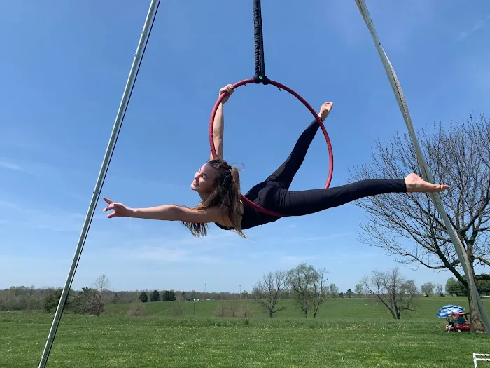 Sora Aerial Arts Picture 7