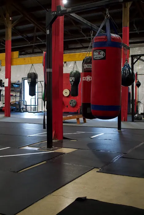 Thrive Tribe Boxing & Fitness Picture 1