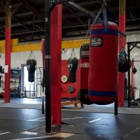 Thrive Tribe Boxing & Fitness ico