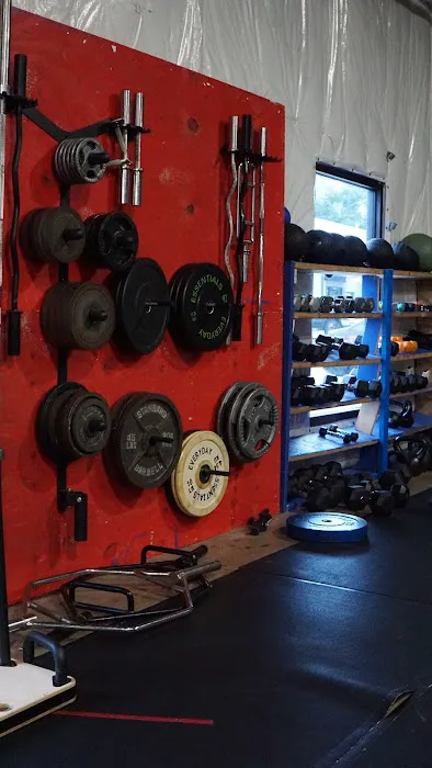 Thrive Tribe Boxing & Fitness Picture 7