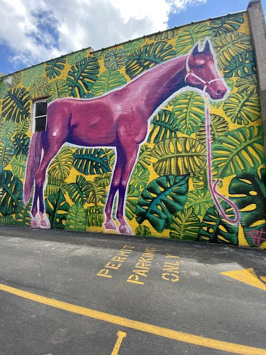 Alumni Gym Fitness Center Picture 1
