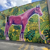 Alumni Gym Fitness Center ico