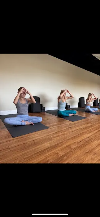 The Floating Fox Picture 9