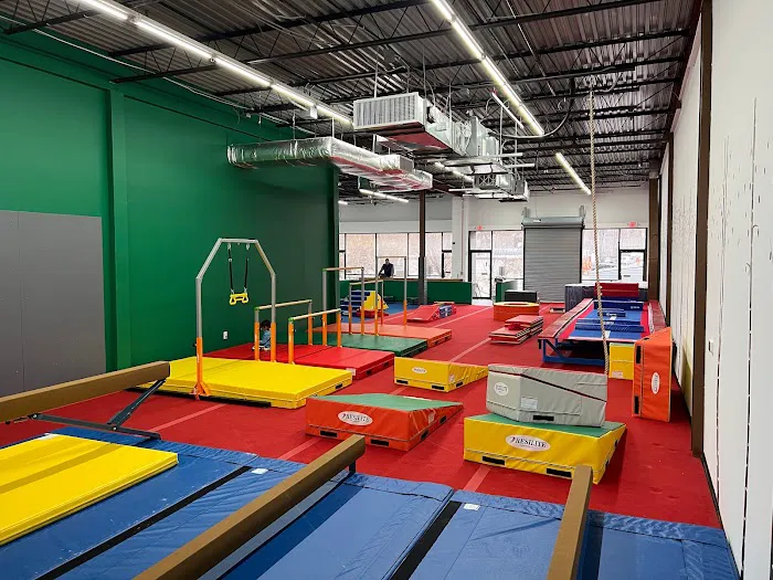 Dominique Dawes Academy Picture 7