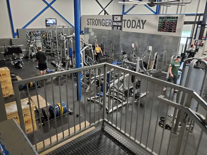 Wildcat Fitness Picture 2