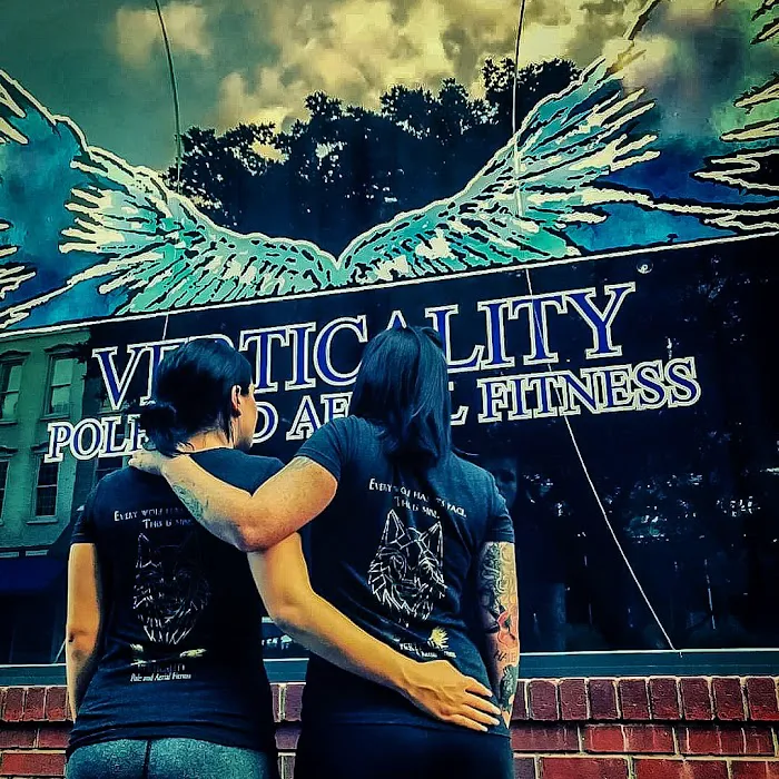 Verticality Aerial Fitness Picture 2