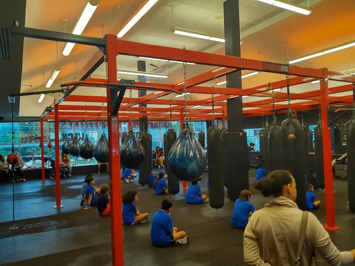 Champion Boxing & Fitness Picture 4