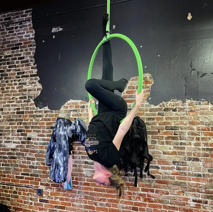 Verticality Aerial Fitness Picture 7