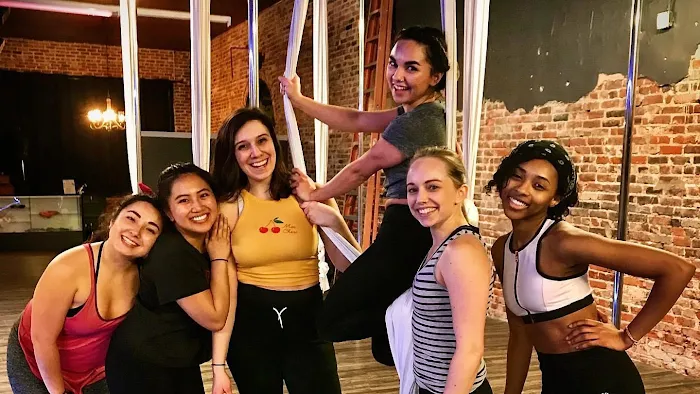 Verticality Aerial Fitness Picture 10