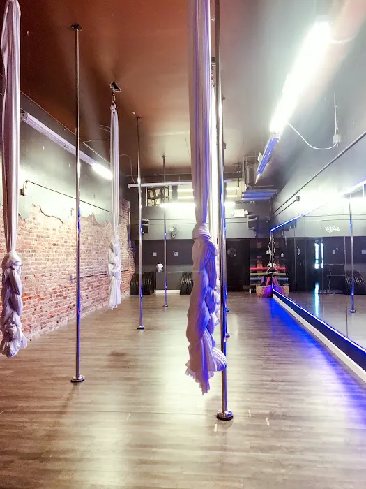 Verticality Aerial Fitness Picture 3