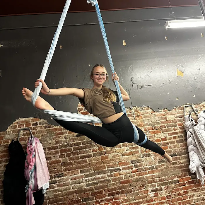 Verticality Aerial Fitness Picture 6