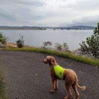 Kenlake Tennis Center ico