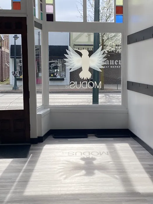 Modus45 Barre Fitness Picture 8