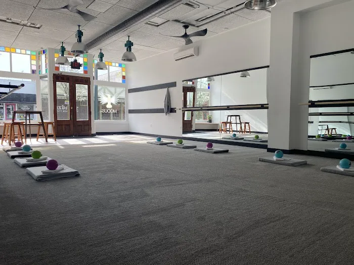 Modus45 Barre Fitness Picture 10