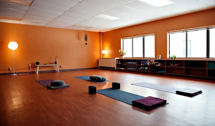 New Moon Yoga Studio Picture 2