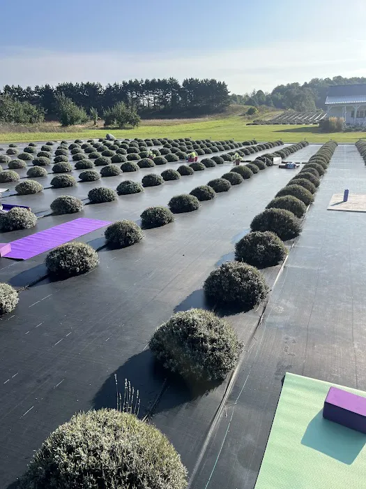 Yen Yoga & Fitness Picture 2