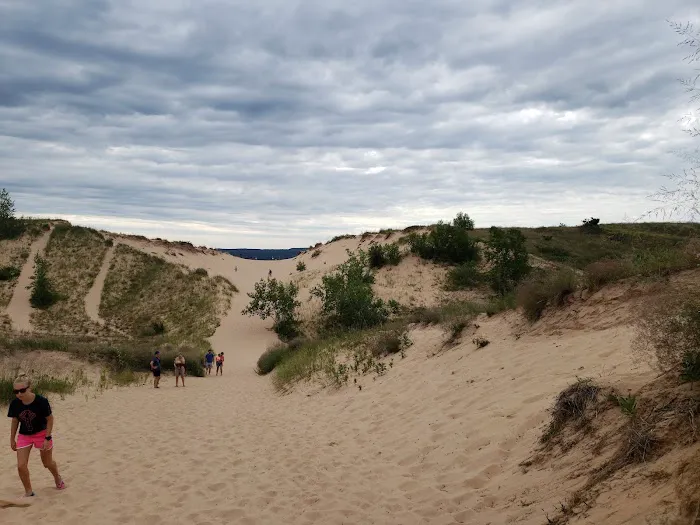 Dune Climb Bench Picture 10