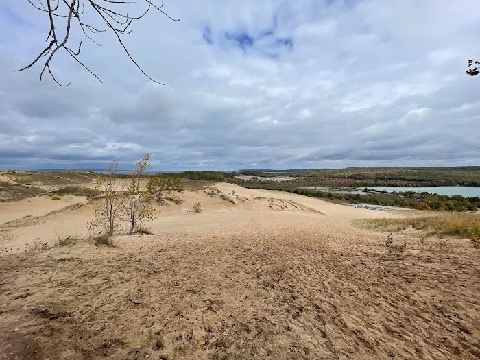 Dune Climb Bench Picture 2