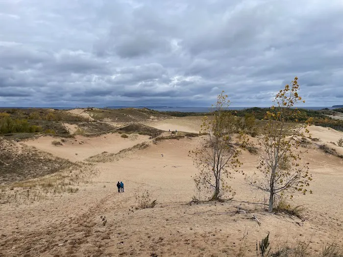 Dune Climb Bench Picture 3