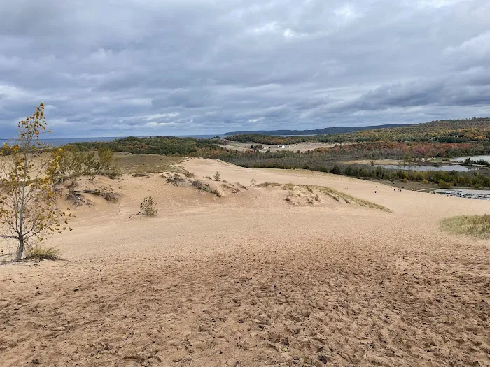 Dune Climb Bench Picture 4