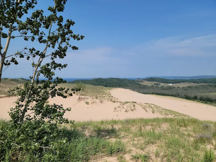 Dune Climb Bench Picture 8