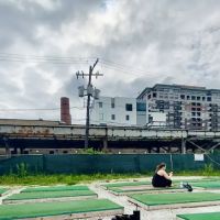 Studio Three S3 Arena ico