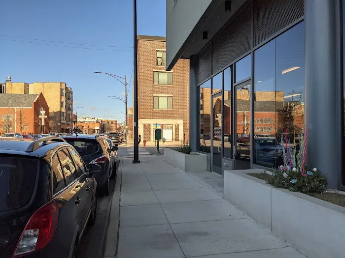 Movement Revolution Picture 2