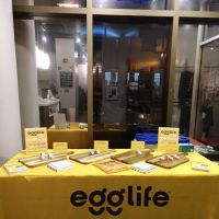 Shred415 Old Town ico