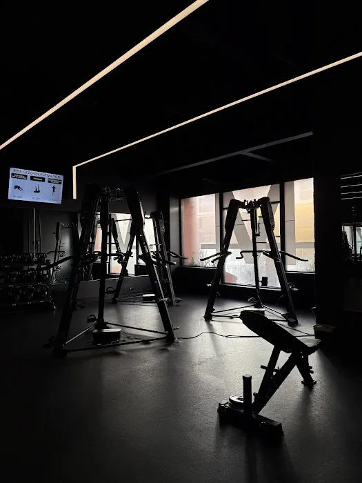 TRAIN MOMENT (Lincoln Park) Picture 2