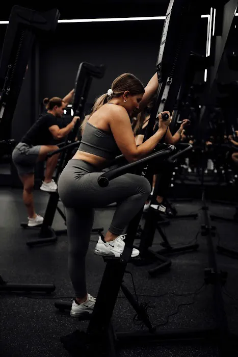 TRAIN MOMENT (Lincoln Park) Picture 8