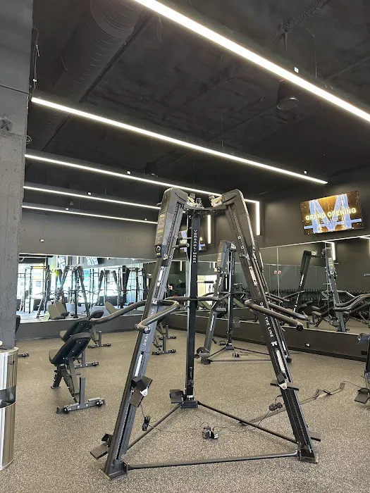 TRAIN MOMENT (Lincoln Park) Picture 6