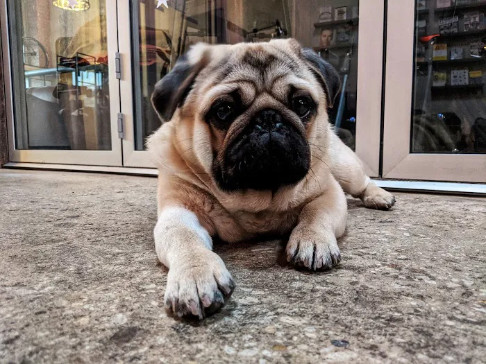 EDGE Athlete Lounge Picture 5